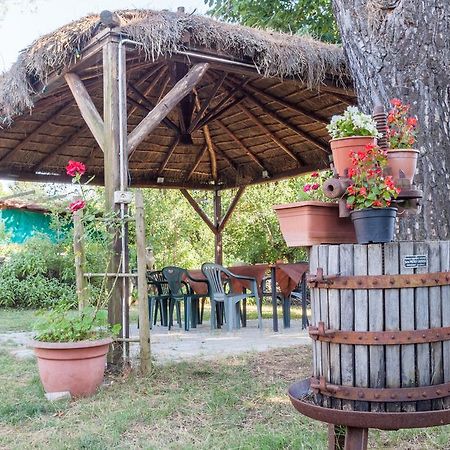 Agriturismo Artisti Del Cavallo Arezzo Exterior foto